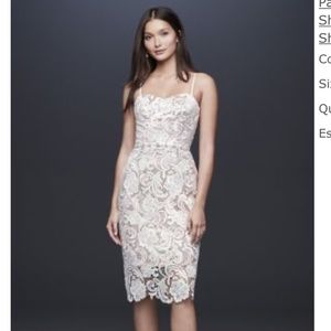 Paisley Lace Illusion Sheath Dress with Sheer Hem